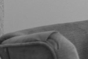 sfcweb-47