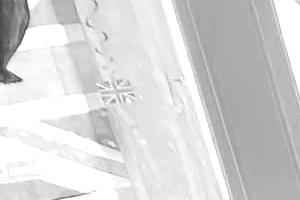 Royal Dinner Jubilee